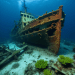 ship wreck